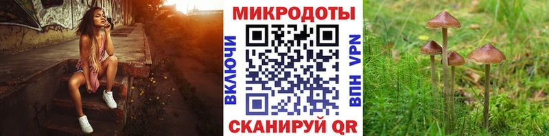 ОМГ ОМГ   купить наркоту  Лангепас  Галлюциногенные грибы мухоморы 